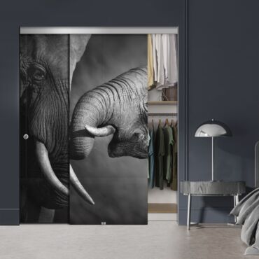 Frameless 2 Leaf Sliding Closet Bypass Digital Printing Glass Door with Hardware CGD - 2055