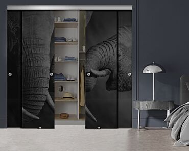 4 Panel Frameless Closet Glass Sliding Bypass Door With Digital Printing FSG4 - 2056