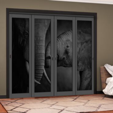 4 Leaf Handcrafted Bypass Sliding Painted Grey Closet Door Digital Printing HSSB- 2104