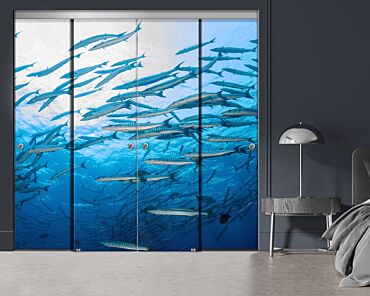 4 Panel Frameless Closet Glass Sliding Bypass Door With Digital Printing FSG4 - 2185