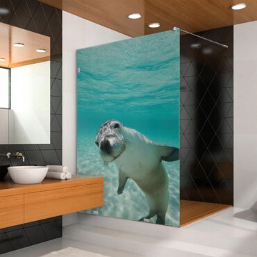 Digital Printing Glass Shower Screens Dpgs - 0725