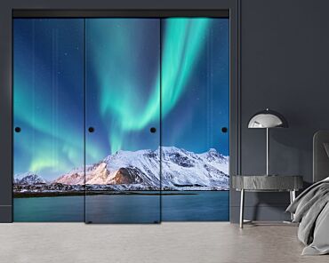 3 Panel Frameless Closet Glass Sliding Digital Printing Bypass Door FSG3-2161