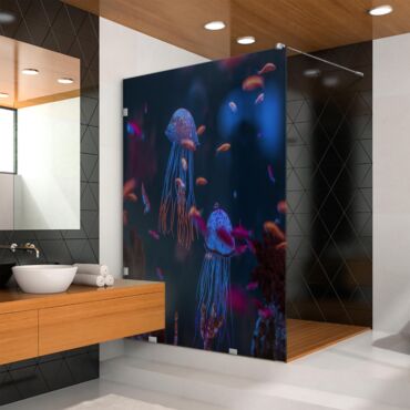 Digital Printing Glass Shower Screens Dpgs - 0715