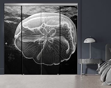 4 Panel Frameless Closet Glass Sliding Bypass Door With Digital Printing FSG4 - 2188