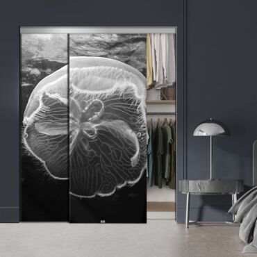 Frameless 2 Leaf Sliding Closet Bypass Digital Printing Glass Door with Hardware CGD - 2138