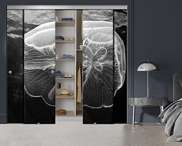 4 Panel Frameless Closet Glass Sliding Bypass Door With Digital Printing FSG4 - 2188