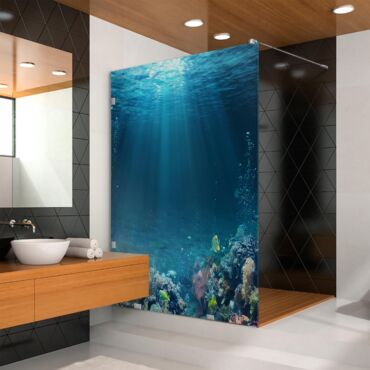 Digital Printing Glass Shower Screens Dpgs - 0727