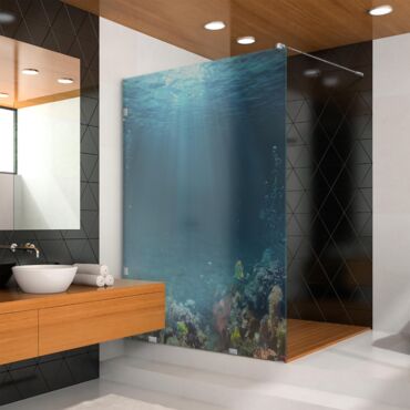 Digital Printing Glass Shower Screens Dpgs - 0727