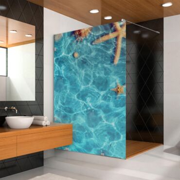 Digital Printing Glass Shower Screens Dpgs - 0221