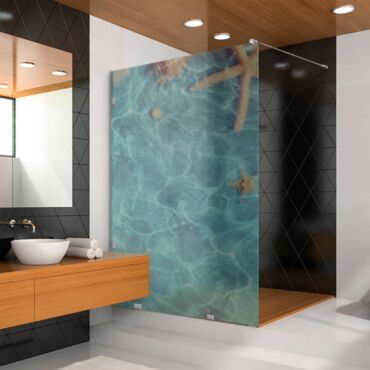 Digital Printing Glass Shower Screens Dpgs - 0221