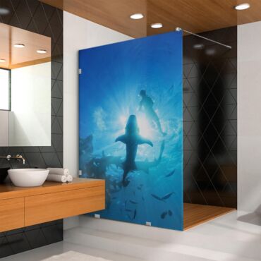 Digital Printing Glass Shower Screens Dpgs - 0729