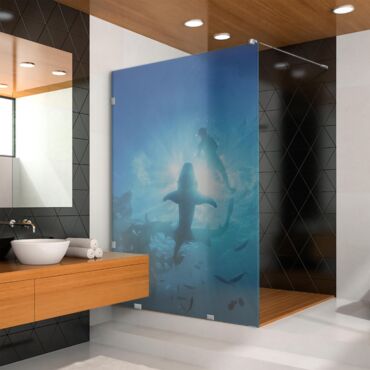 Digital Printing Glass Shower Screens Dpgs - 0729