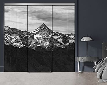 3 Panel Frameless Closet Glass Sliding Digital Printing Bypass Door FSG3-2171