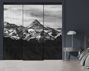 3 Panel Frameless Closet Glass Sliding Digital Printing Bypass Door FSG3-2171