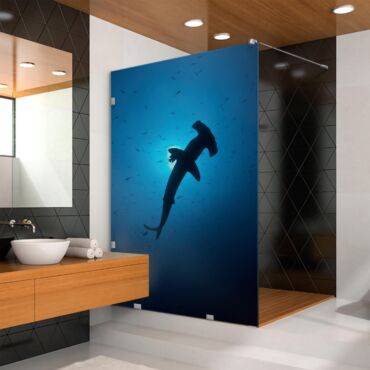 Digital Printing Glass Shower Screens Dpgs - 0717