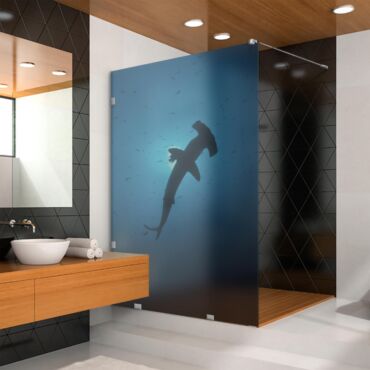 Digital Printing Glass Shower Screens Dpgs - 0717