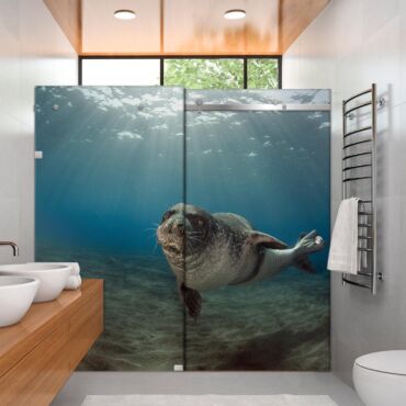 Digital Printing Shower Glass Sliding Doors Dgsd - 0711