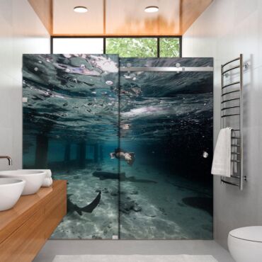 Digital Printing Shower Glass Sliding Doors Dgsd - 0709