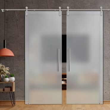 Double Sliding Barn Glass Door