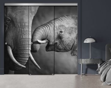 3 Panel Frameless Closet Glass Sliding Digital Printing Bypass Door FSG3-2054