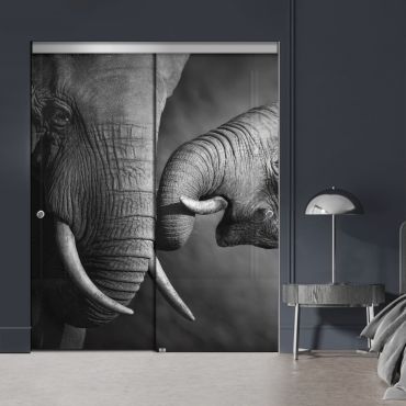 Frameless 2 Leaf Sliding Closet Bypass Digital Printing Glass Door with Hardware CGD - 2055