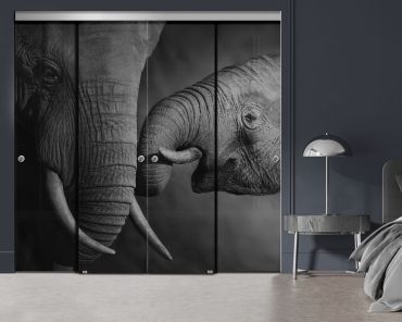 4 Panel Frameless Closet Glass Sliding Bypass Door With Digital Printing FSG4 - 2056