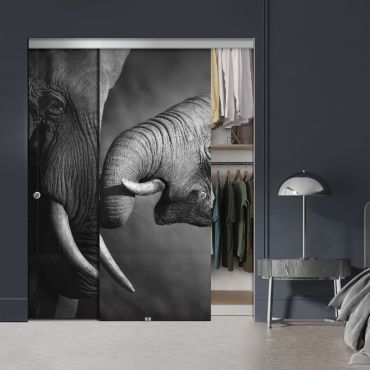 Frameless 2 Leaf Sliding Closet Bypass Digital Printing Glass Door with Hardware CGD - 2055