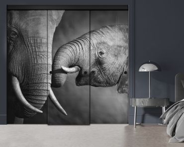 3 Panel Frameless Closet Glass Sliding Digital Printing Bypass Door FSG3-2054