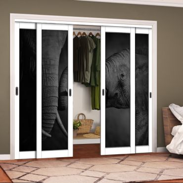 4 Leaf Handcrafted Bypass Sliding Closet Door Digital Printing HSSB- 2057