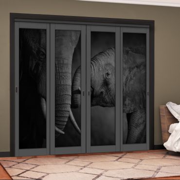 4 Leaf Handcrafted Bypass Sliding Painted Grey Closet Door Digital Printing HSSB- 2104