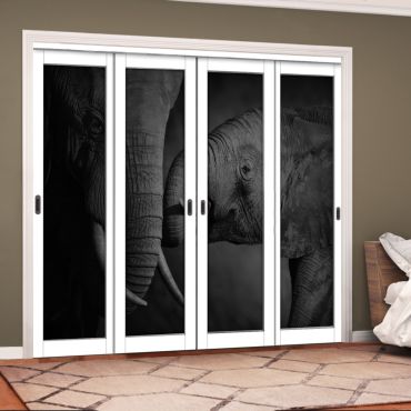 4 Leaf Handcrafted Bypass Sliding Closet Door Digital Printing HSSB- 2057