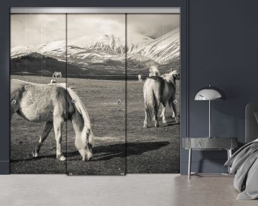 3 Panel Frameless Closet Glass Sliding Digital Printing Bypass Door FSG3-2154