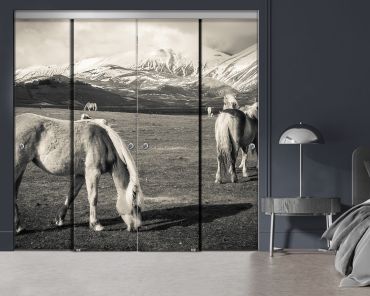 4 Panel Frameless Closet Glass Sliding Bypass Door With Digital Printing FSG4 - 2179