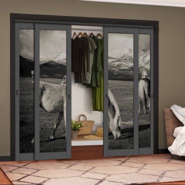 4 Leaf Handcrafted Bypass Sliding Painted Grey Closet Door Digital Printing HSSB- 2105
