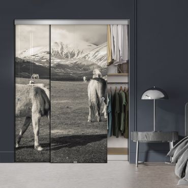 Frameless 2 Leaf Sliding Closet Bypass Digital Printing Glass Door with Hardware CGD - 2129