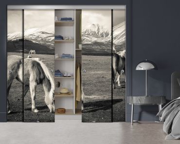 4 Panel Frameless Closet Glass Sliding Bypass Door With Digital Printing FSG4 - 2179