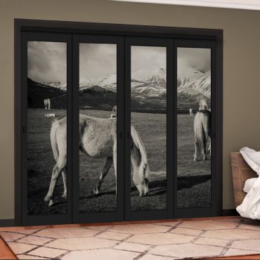 4 Leaf Handcrafted Bypass Sliding Painted Black Closet Door Digital Printing HSSB- 2082