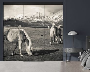 3 Panel Frameless Closet Glass Sliding Digital Printing Bypass Door FSG3-2154