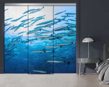 3 Panel Frameless Closet Glass Sliding Digital Printing Bypass Door FSG3-2160