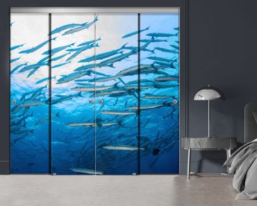 4 Panel Frameless Closet Glass Sliding Bypass Door With Digital Printing FSG4 - 2185