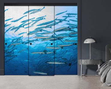 3 Panel Frameless Closet Glass Sliding Digital Printing Bypass Door FSG3-2160