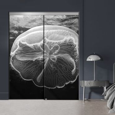 Frameless 2 Leaf Sliding Closet Bypass Digital Printing Glass Door with Hardware CGD - 2138