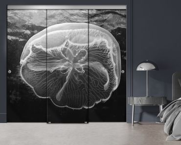 3 Panel Frameless Closet Glass Sliding Digital Printing Bypass Door FSG3-2163