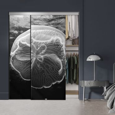 Frameless 2 Leaf Sliding Closet Bypass Digital Printing Glass Door with Hardware CGD - 2138