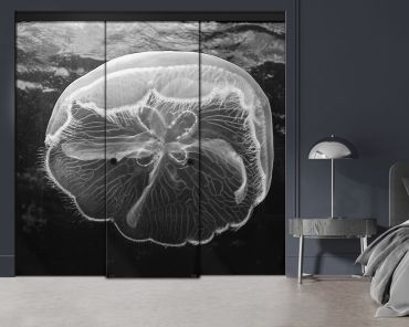 3 Panel Frameless Closet Glass Sliding Digital Printing Bypass Door FSG3-2163