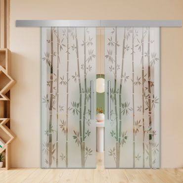 Double Sliding Barn Glass Door ALU100 ASB2-1999