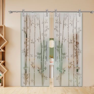 Double Sliding Barn Glass Door ALU100 ASB2-1999