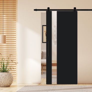 Flush Sliding Barn Door (Mirror/Colored Option Glass Insert) CCD-1283