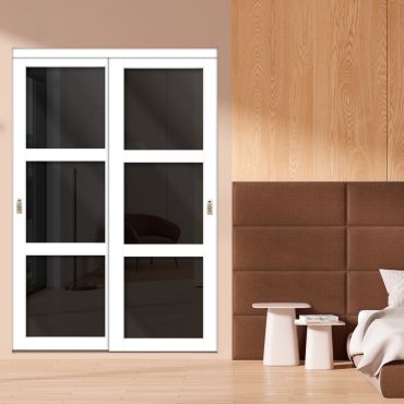 3 Panel Closet Door with Frosted Glass and White Glass Painted Panel Insert SD-1761