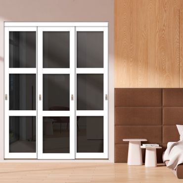 3 Panel Closet Door with Different Glass - Black Glass Painted Panel Insert SD-1771